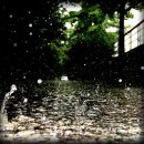 링크 link 이미지