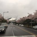 서호동-12 이미지