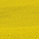 반포리체, 리체 꿈나라어린이집 | 반포리체 아파트 투자 가치와 시세 분석