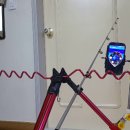 임진강민물장어 이미지