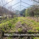 서석면행정복지센터 이미지