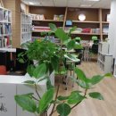 월남호반독서치유도서관 이미지