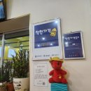 김밥군쫄면양