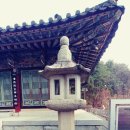 석가축인공수정소 | 박대 답사 송림사 부인사 동화사 은해사