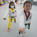 인성품태권도장 이미지