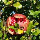 섬진강자전거길2 이미지