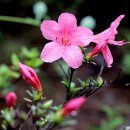 함양(통영) 이미지