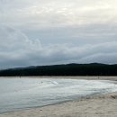 고래불식당 이미지