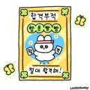 충남대학교병원 | [2026 충남대학교병원 신규간호사 기졸 최종합격 후기(저스펙, 꿀팁 공유)]