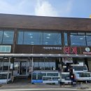 일월회집 | [속초횟집추천] 속초시외버스터미널맛집 장사항 일월횟집에서 모듬회 먹고 온 후기🐟