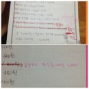 [구매후기] 원더펫 첫번째 구매후기