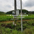 이천역공인중개사사무소 이미지