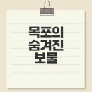 하늘온누리약국 | 목포 맛집 선경준치횟집 방문기
