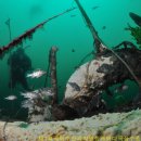 원장목장 이미지