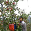 형만농장 이미지