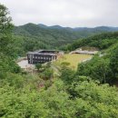 강아지 테마파크 이미지