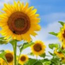 주식회사 유니베스트 이미지