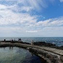 해맞이인력 | 제주 청굴물 만조 물때 확인하고 김녕 숨은 명소 완벽 동선 가이드