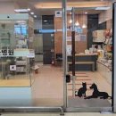 롯데마트 안성점 쿨펫 이미지