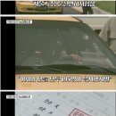 면허시험장 이미지