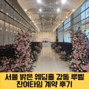장미공연장1층 강당 | 서울 가성비 밝은 웨딩홀 강동루벨 투어 및 잔여타임 계약 후기