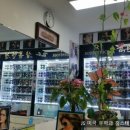 샬롬안경 이미지