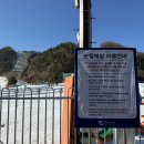 엘리시안강촌눈썰매장 네이버블로그