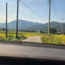 루몽드917 이미지