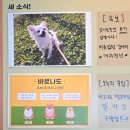 바로나도 수원영통 이미지