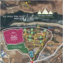 평화강변수목캠핑장 이미지