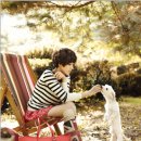 애견이야기 이미지