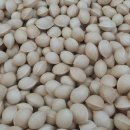 은행정천 이미지