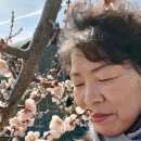 한일농장 이미지