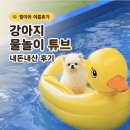 튜브 - 8580 | 강아지와 여름휴가 준비! 포메라니안 별이도 편안했던 물놀이 오리튜브 내돈내산 후기