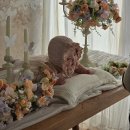 (주)타이어트리 용인IC점 | [D+124] 라빌라스튜디오 100일 촬영 내돈내산 후기 + 아기 촬영 팁!