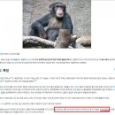 길이요소도 없으시면서 의식탑재들은 요실금 당뇨말초 홍어과메기 서울 이미지