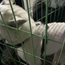 모현모텔 이미지