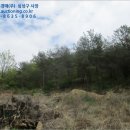 대기대상길 이미지