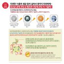 베이비템
