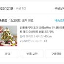 (12/19)크리스마스 미니트리 | 크리스마스 미니 트리 추천 | 루시아이 조이 미니 트리 내돈내산