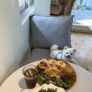 마산애견 | 마산카페 보스｜애견동반으로 브런치 즐긴 방문 후기