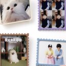 하나더문구 - 구미시 봉곡남로15길 18-5 | 하나더문구