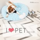 PET LOVE 이미지