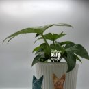 안태숯불갈비 이미지