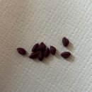 조이축산유통 | 백뚱이가 이렇게 좋아할 줄은 몰랐지 🍠 | 노즈워크 간식 내돈내산 강아지 건강간식 후기