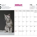 나무타는고양이 구경하는강아지 이미지