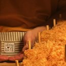 주정차단속-107 이미지