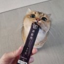 묘르신 | 노령묘 묘르신 영양제 추천 | 수의사도 인정한 한방 영양스틱 묘진단 총정리