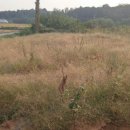 현대자동차 앞 이미지