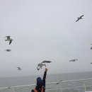 제비2리 이미지